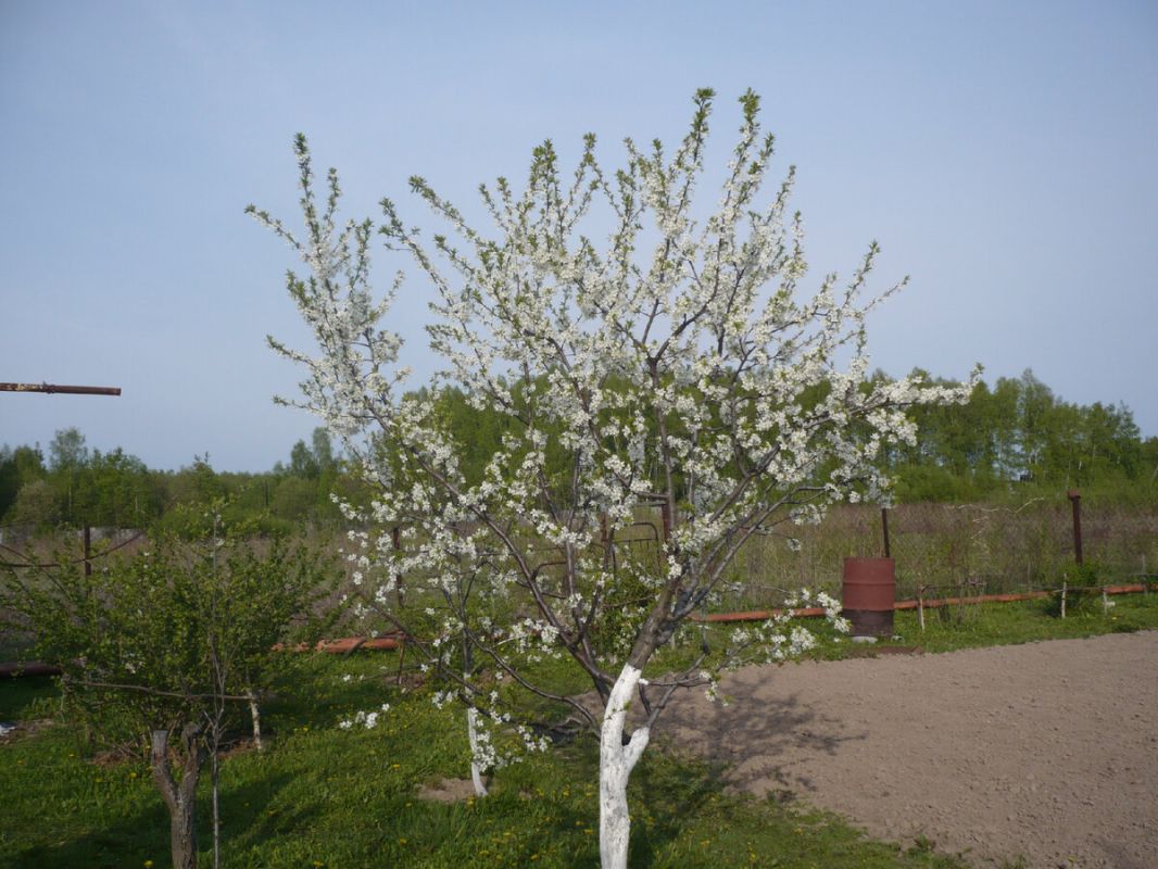 ������� �����������������: ��� �������� ������� �� �������