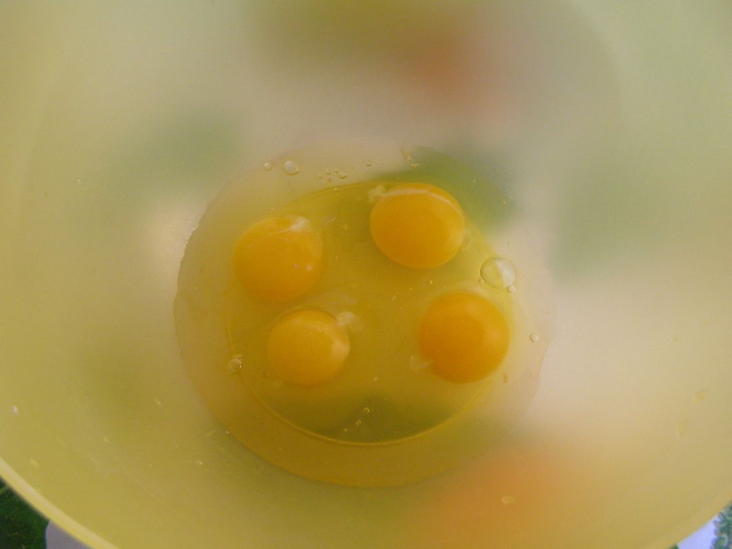 ��������� 2026: ��� ���������� ������� �������� ������� � ����������� ���������