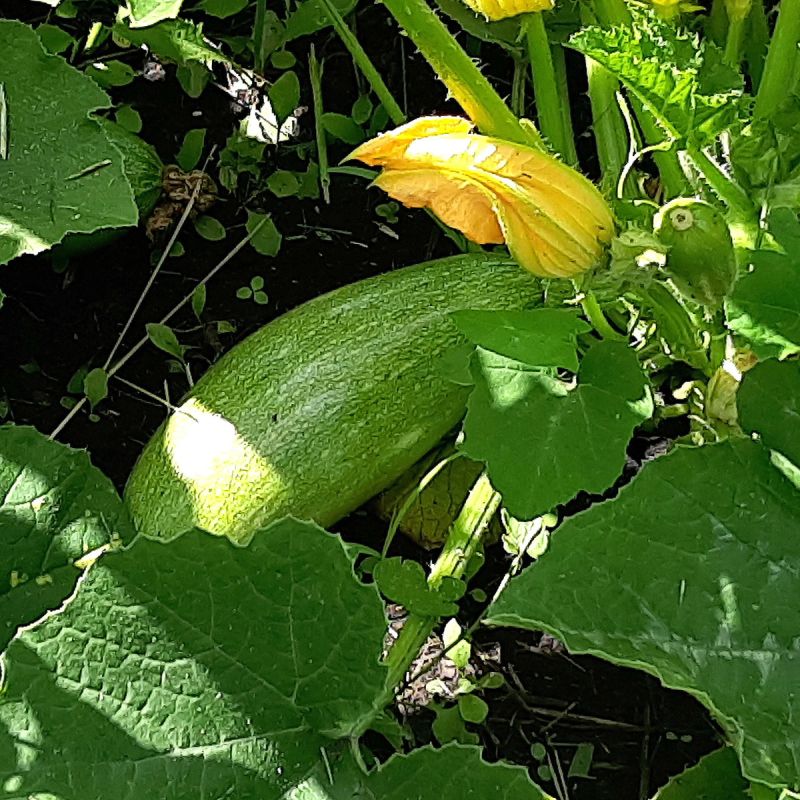 ���-10 ���������� �������� �� ��������