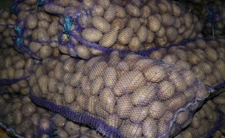 ������� ������������� �������� ���������: ������ ���������