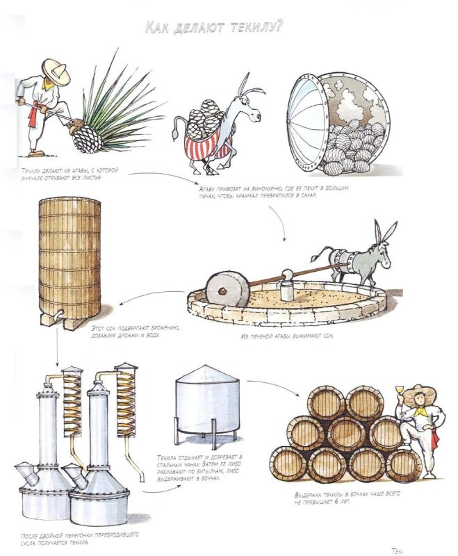 ��� ��������� ������: �� �������� �� �������