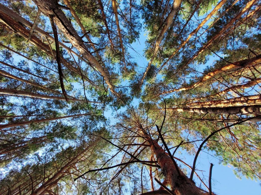 ��� �� ����������� � ����: �������� ������ ��� ���������