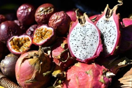 ��������� ��� ������� ������� ������ ���������� ��������� ��������