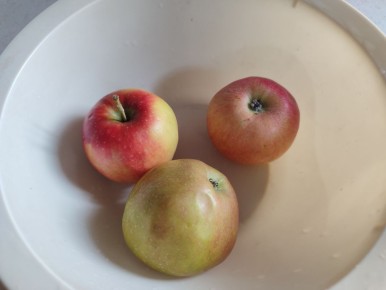 �������� ������: ������, ������ � �������