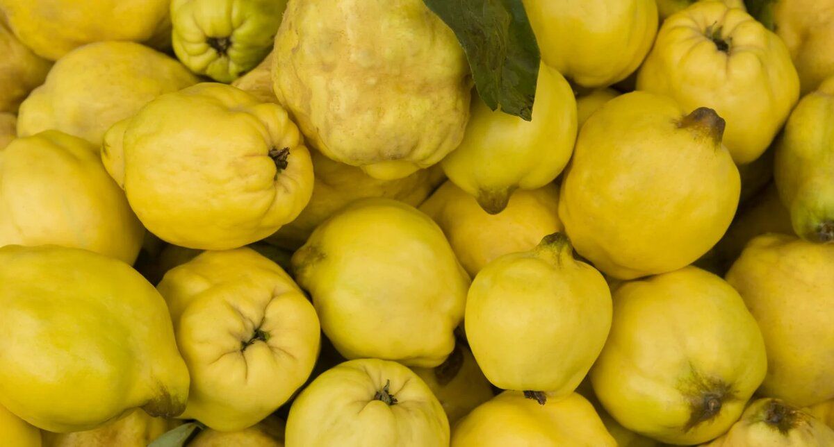 ����: �������� �������� � ���������� ������� ��������