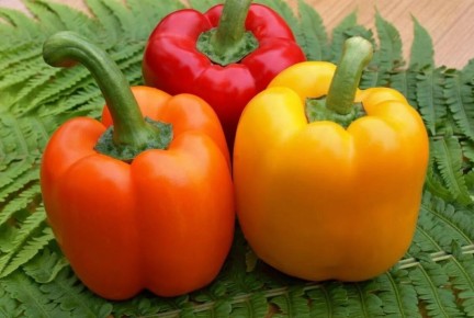 ������� � ��������: ��� ������� ��������� ����� ����� ��� ������ �������