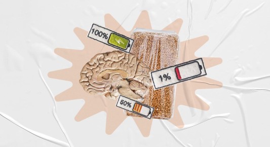 ������ �������� ����� ��� ��������: 15 �������� ������