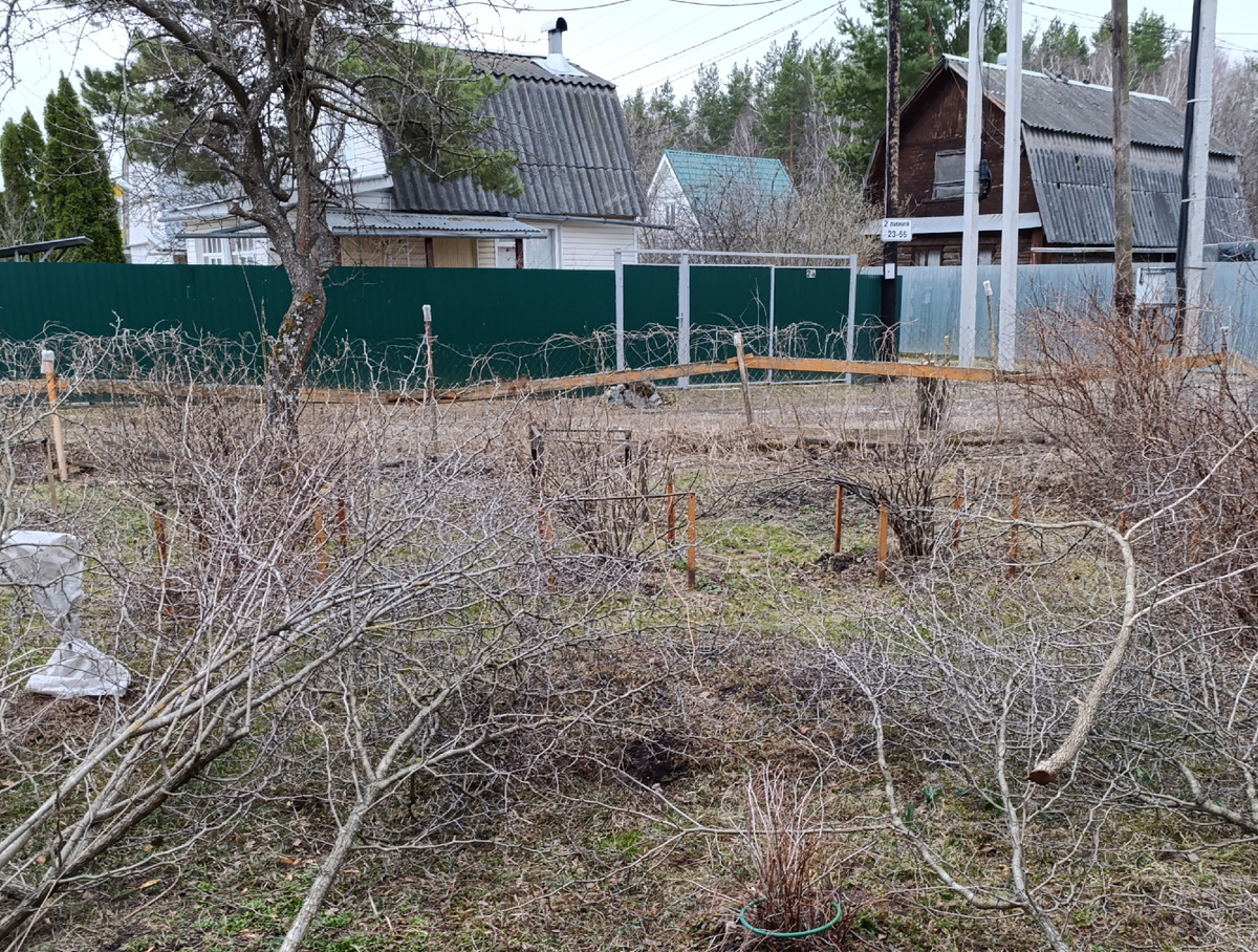 Тенденции цен на заборы весной 2025 года: как выбрать лучший вариант для дачи