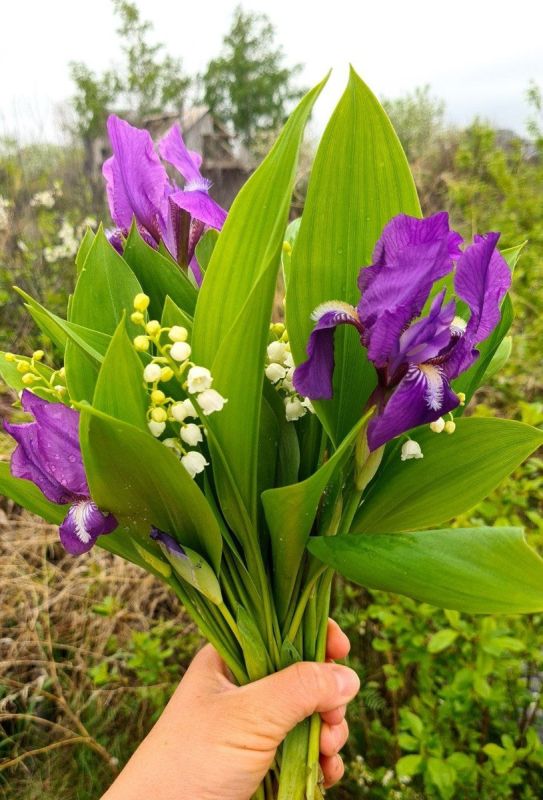 ���� ������: ������� ������ � ������� �� ���