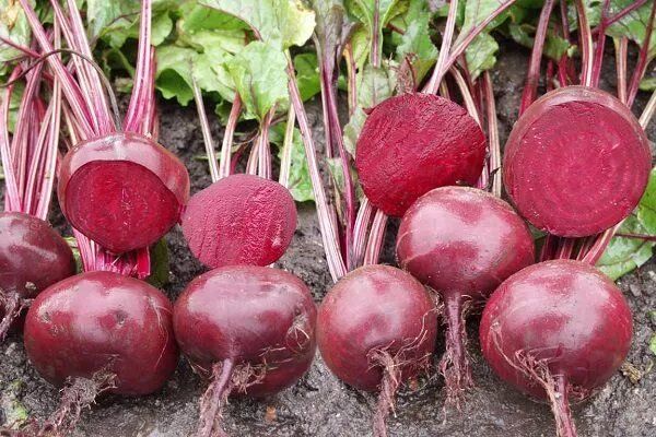 ������� �������� ������������: ��������� � ������������� ���� ��������� ��� ��������