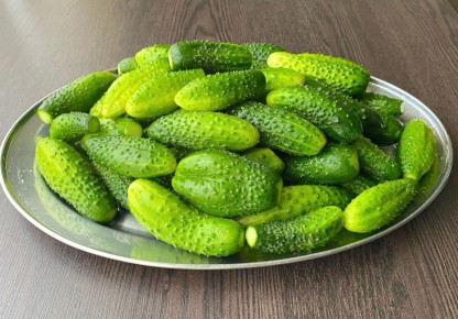 ��������� �� �������: 6 ���������� �������� �� ����