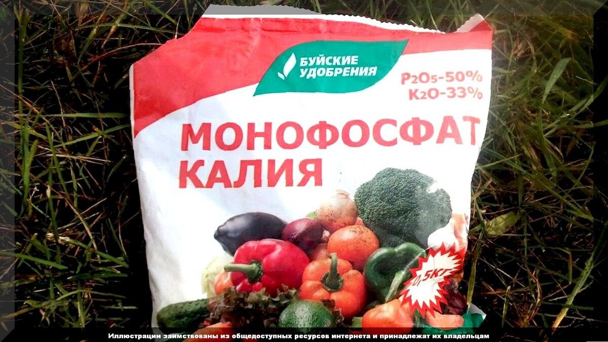 ��� ��������� ������������ ���������� ����� ��� ����������� ������ ����