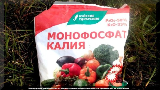 ��� ��������� ������������ ���������� ����� ��� ����������� ������ ����