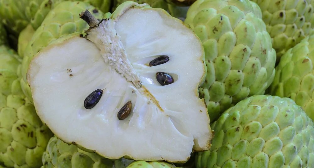 Сахарное яблоко: экзотический фрукт с неожиданным вкусом