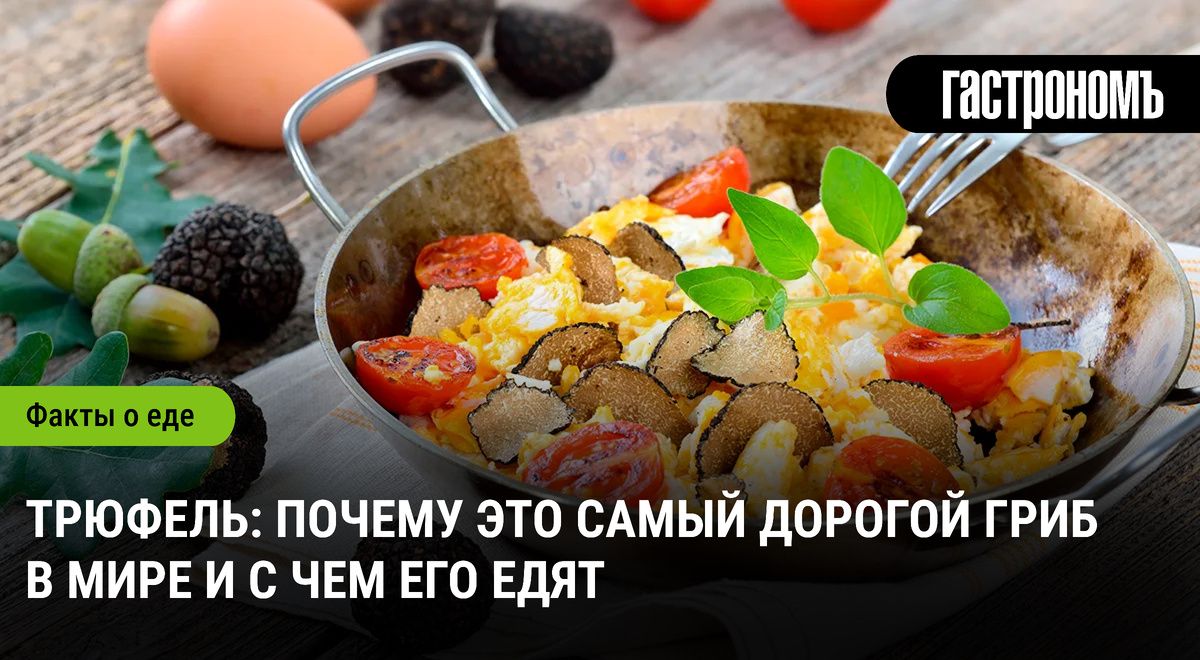 �������: ����� ������ �������� ����� � ����