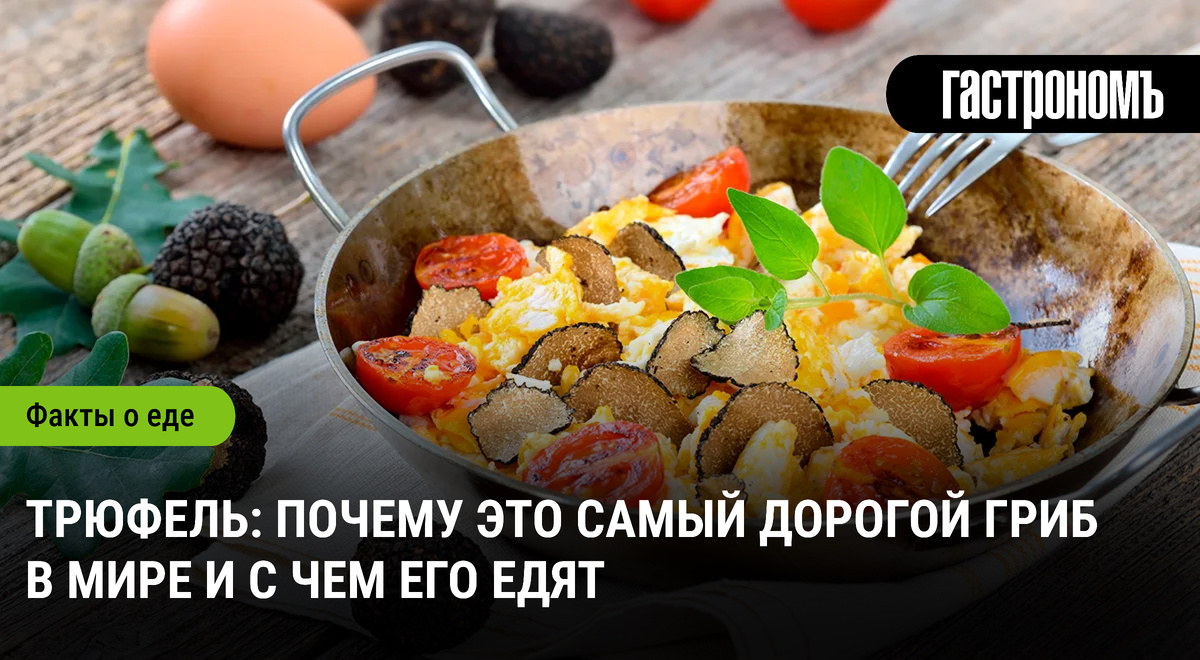 Трюфель: тайны самого дорогого гриба в мире