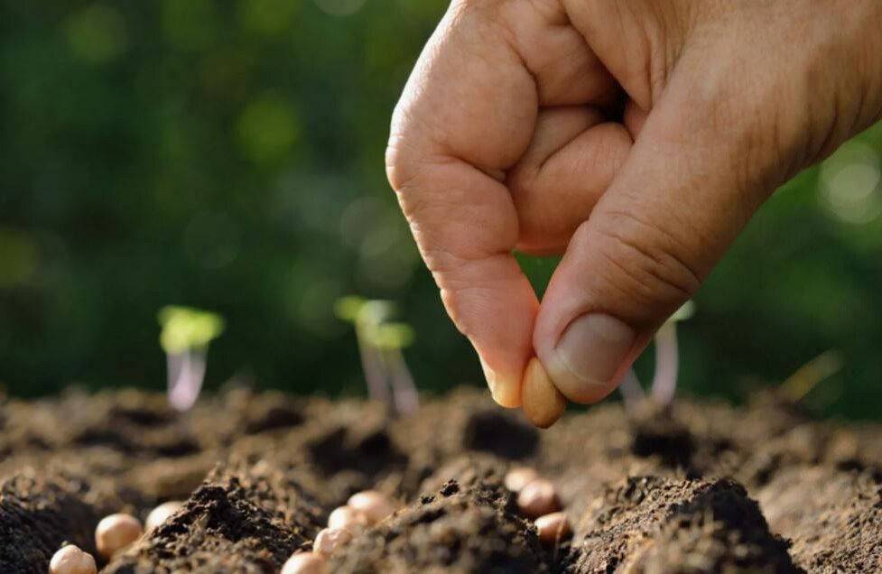 ��� ����� ������� � ������: ����� � �������� ������ ���������� ������