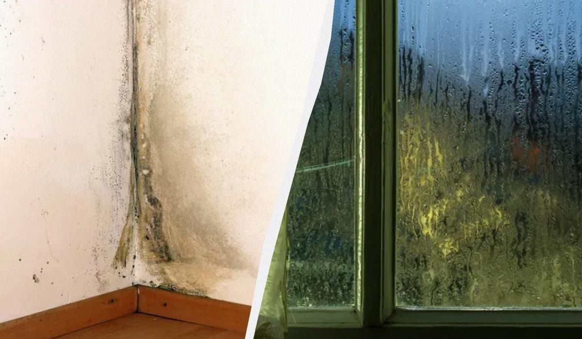 ��� ���������� �� ������� � ���������� � ��������: ������ ���������