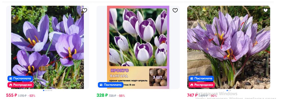 ��� ����� ��������� �� ������ ������� ������� � 2025 ����