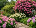Как обеспечить гортензиям яркость и здоровье: секреты подкормки