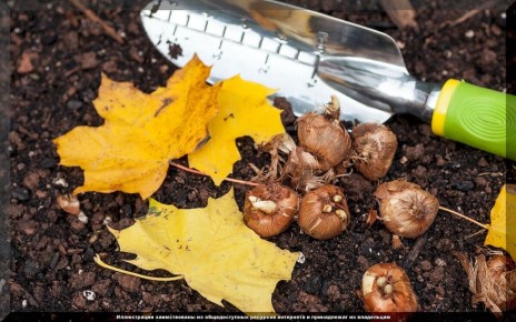 ������� ������� ����������: ������� ��������� �������� ������