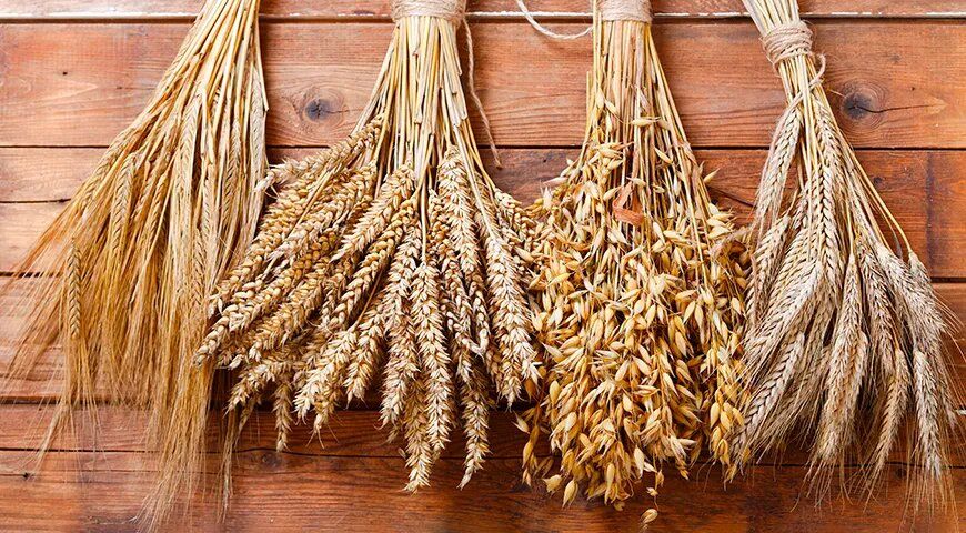 ������ � ���������: ��� ����� ����, � ��� ������� ��������