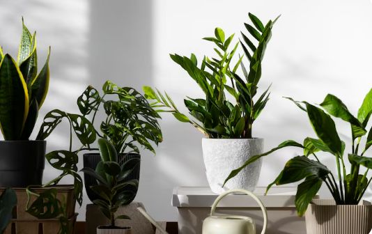 �� ��������� �� ����������� ����������: ������� ���������� �����������