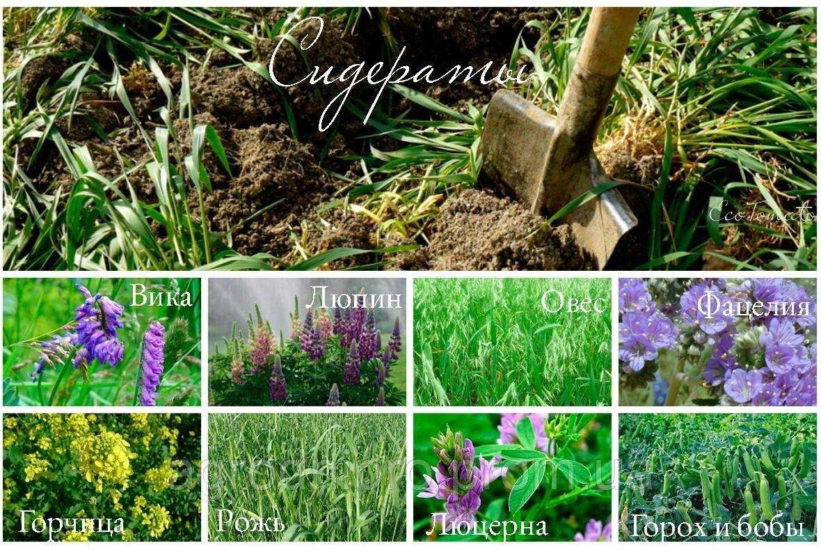 ��� �������� ����� ������ ������ � �������: ������ � ������������