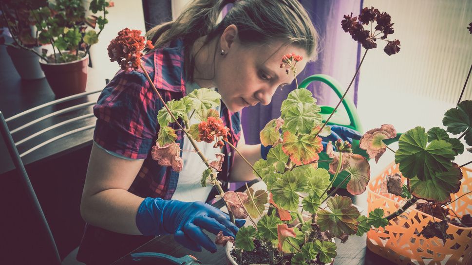 ��� �������� ��������� ���������� �������� ������ � �������� ������