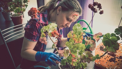 ��� �������� ��������� ���������� �������� ������ � �������� ������