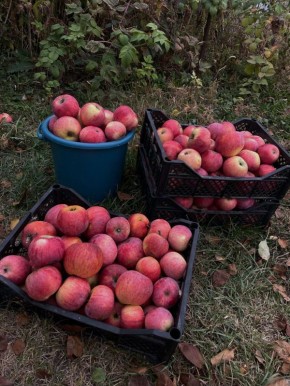 ��� ������� �������� �������� �������� ������ � ��������� ��������