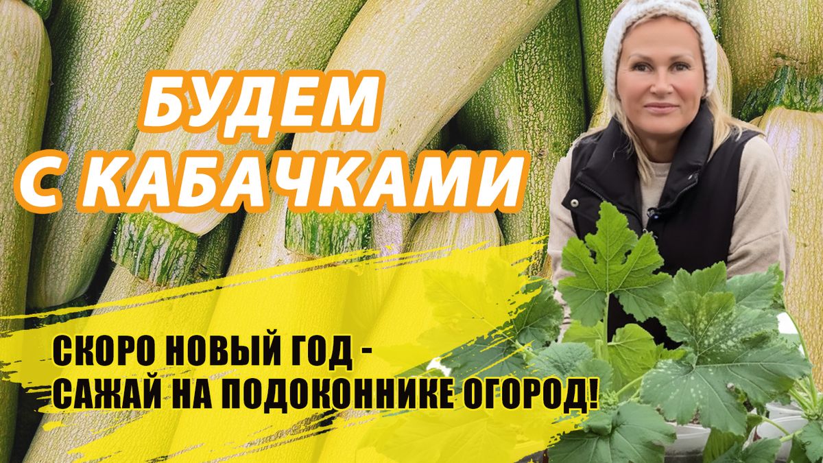 ������� �� �����������: ������� ��������� �����������