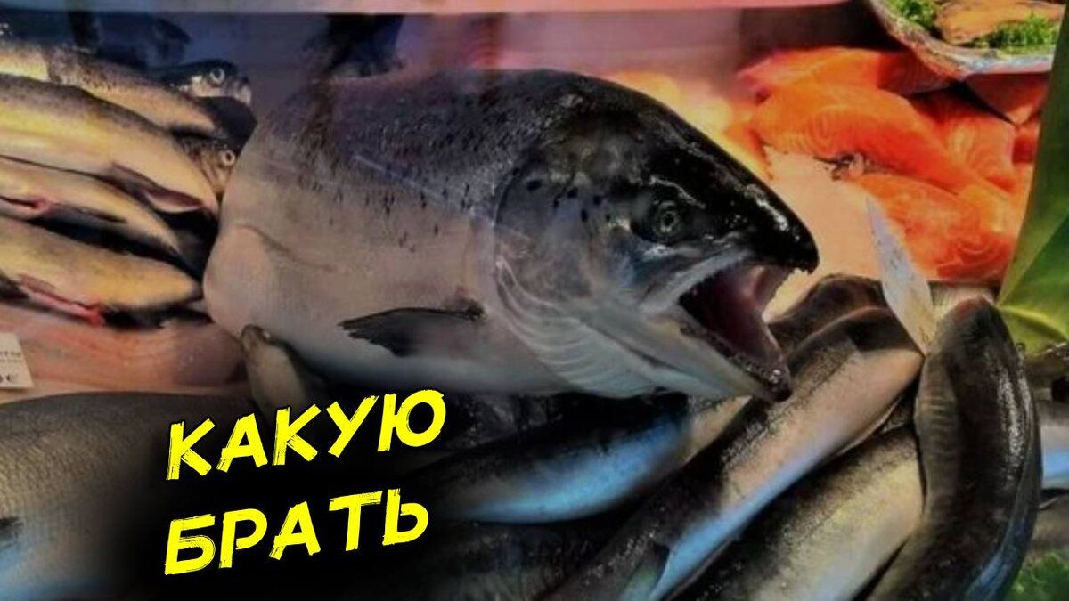 ��� ������� ������: ������� ��� ������?