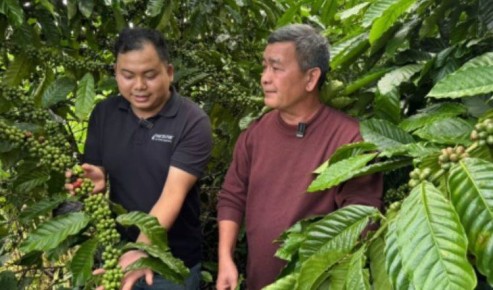 �������� ������� �������� �������� ��������� ������ �� ������������� �����