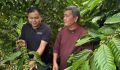 Кофейные фермеры Вьетнама получают страховую защиту от климатических угроз