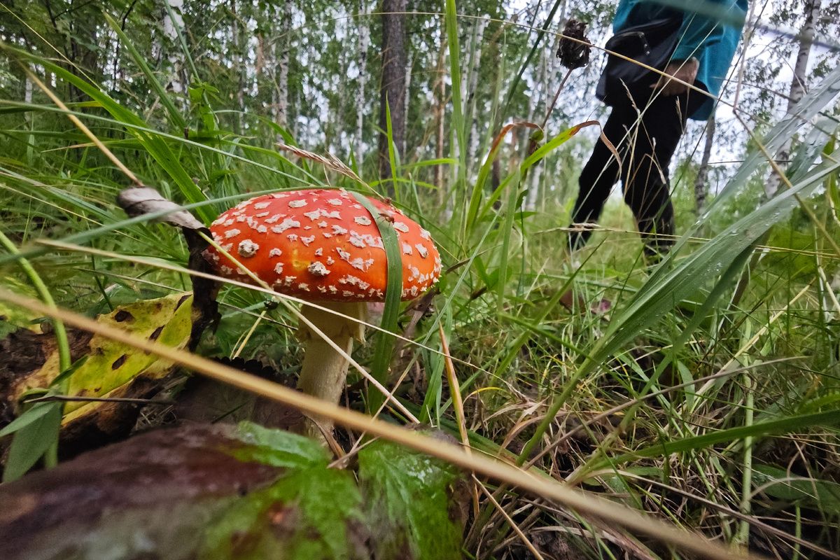 ��� ������ ����� ������� ��������� ����� ���� �����