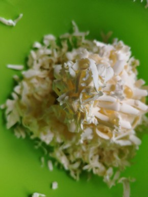 ������ ������� ����: ��� ��������� ���������� ��������� ����