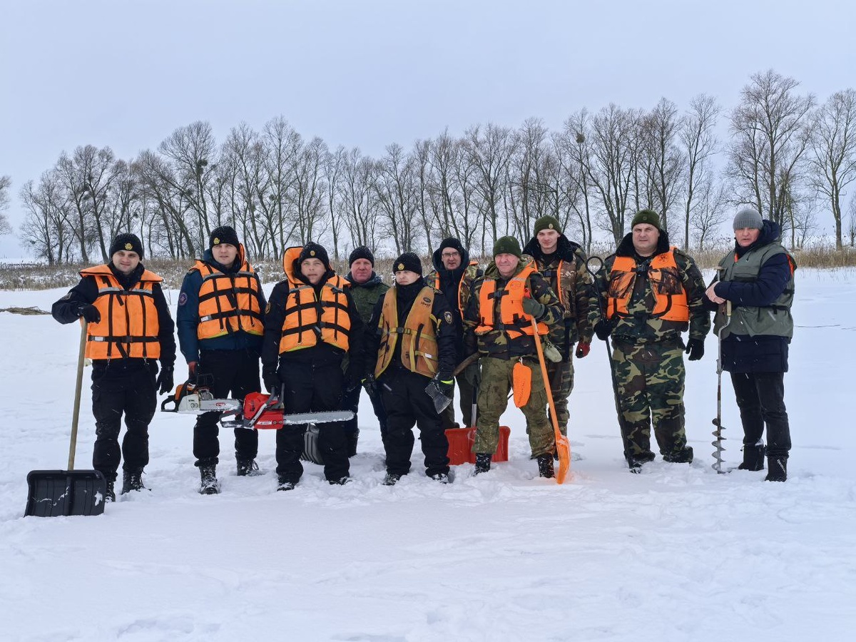Спасение рыбы: борьба с кислородным голоданием в водоемах