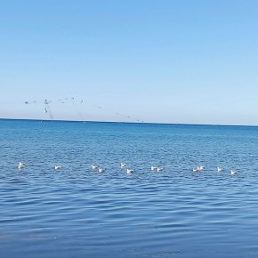 ������� �� ������� ��������� �� ������� �����������