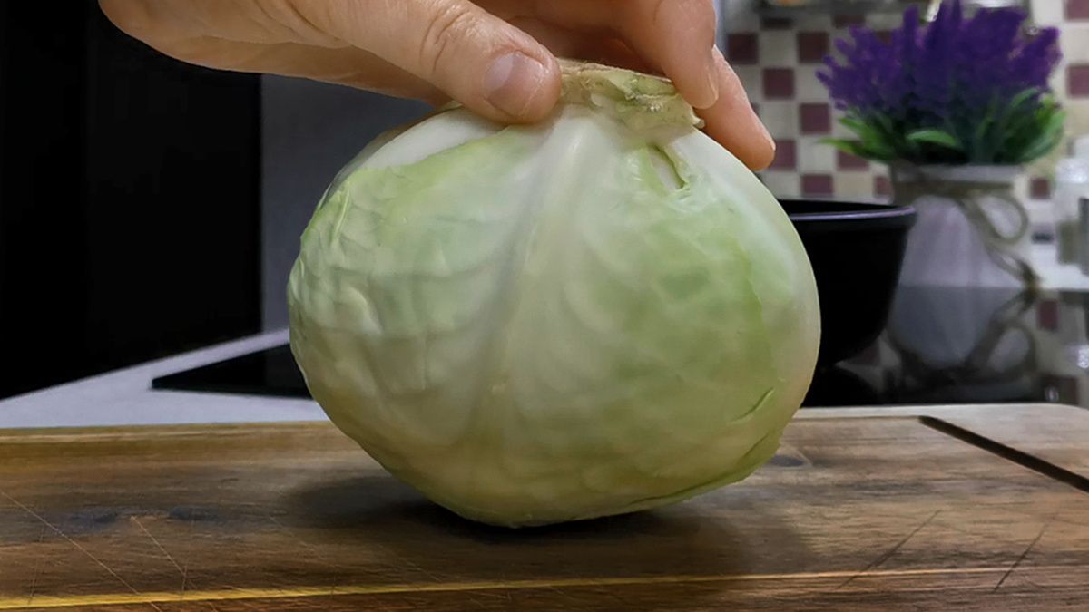 ����������� �����: ��������� �������, ������� ������ ������ ����������