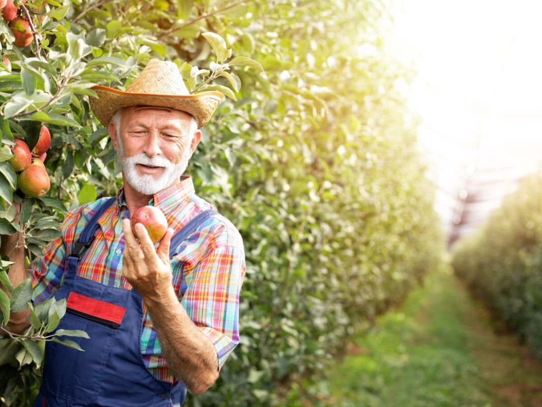 ���� � ����������� ���������: ������ ��� �����������?