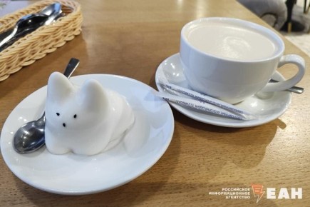 ��������� ������������ ��������: ������� �������� ��� ���� ����������