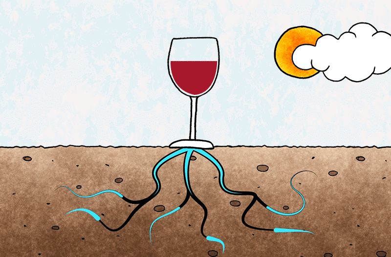 ������� � ��� ���� � ����: ��� ����� ������ �� ����