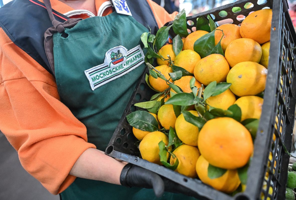 ���������� ������� ������ ������ ������� ����������