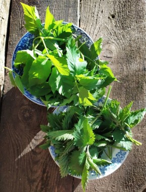 ������� �� � ������ � ��������: ������ ������ �� ������ ����