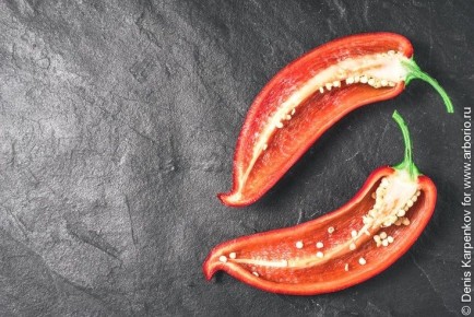 Как кухня может помочь в борьбе с аллергией весной