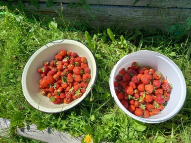 �����������-��������������� � � ������� �������� �����