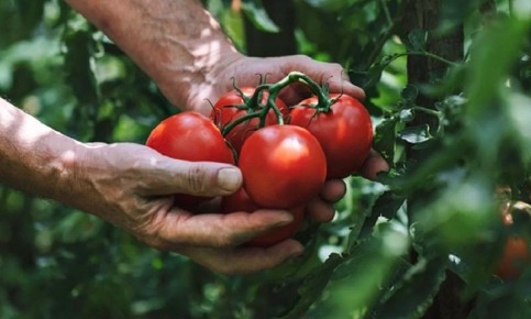 ������� ������ ��������� � �����: ���������� ������� ��������� �����������