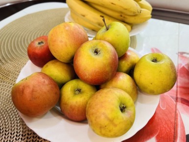 ��� ������������ � ������� ������ �� ��������: �������� �������