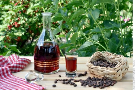 Кедровый напиток: как сибирские орешки укрепляют здоровье